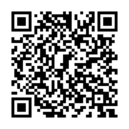 QR code for P55MUT