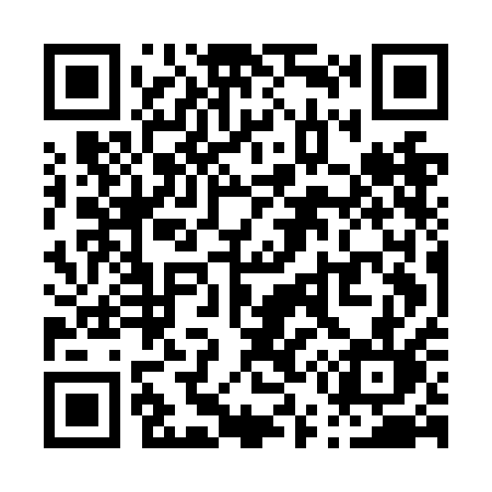 QR code for P55NAL