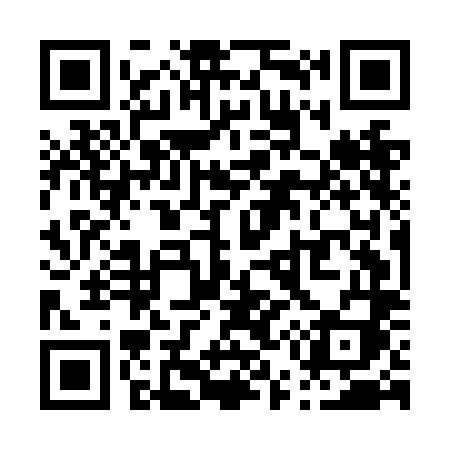 QR code for P55NLI
