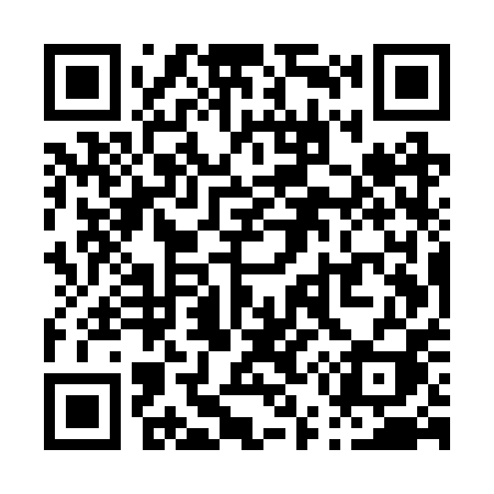 QR code for P55RPI