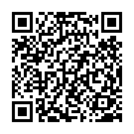 QR code for P55TDX