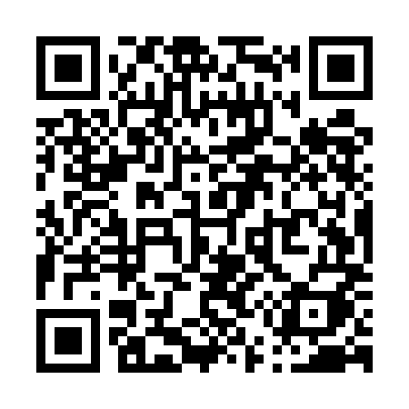 QR code for P55UMI