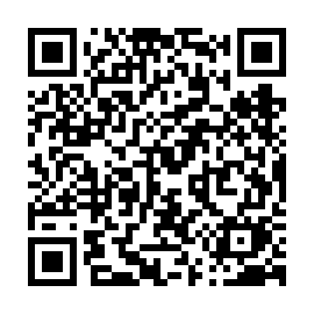 QR code for P55VGM