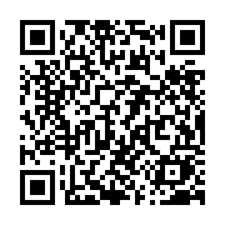 QR code for P55ZOM
