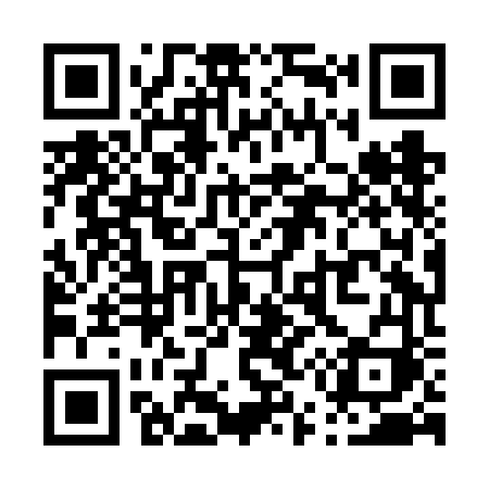 QR code for P58FFI