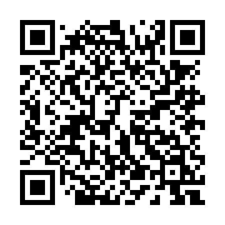 QR code for P58NEN