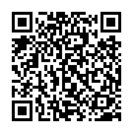 QR code for P60GFX