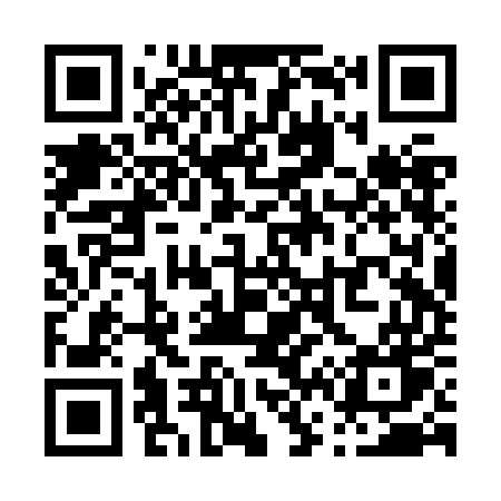 QR code for P62ZEW