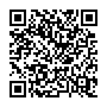 QR code for P63CSD
