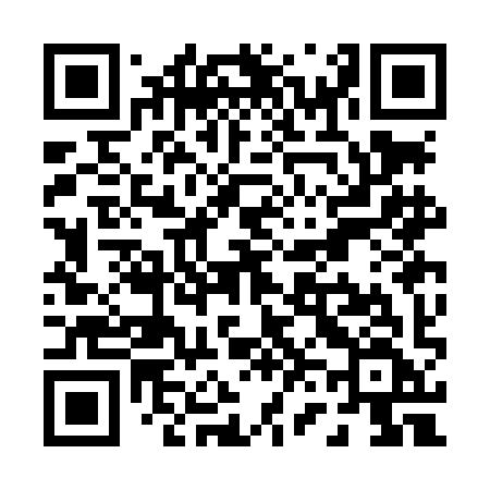 QR code for P63LIF
