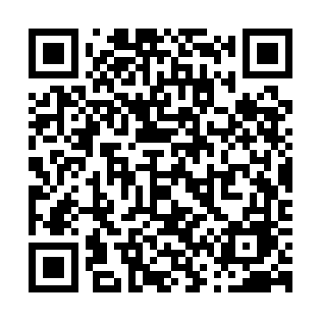 QR code for P63QFE