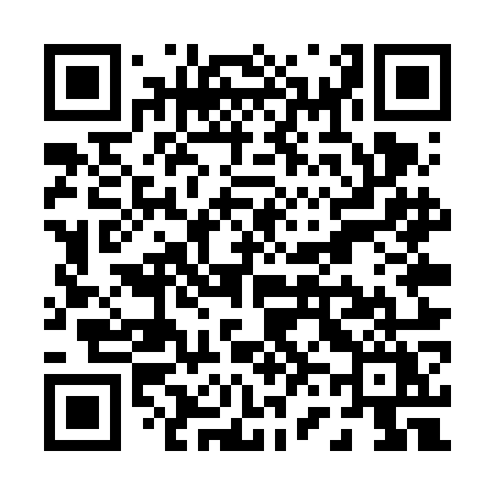 QR code for P65VOY