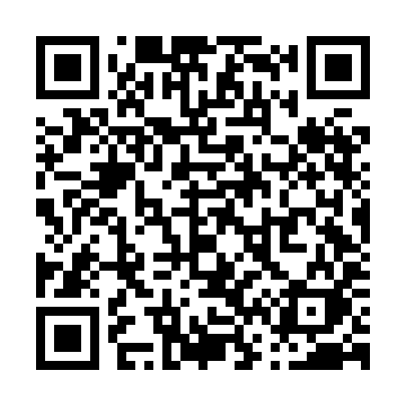QR code for P66HIK