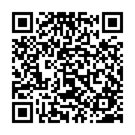 QR code for P82IPN