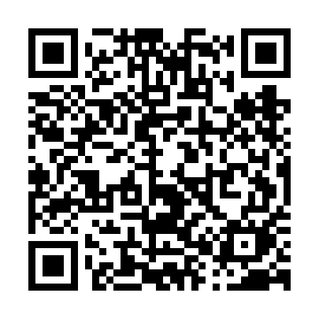 QR code for P85FEM