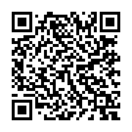 QR code for P85LCT