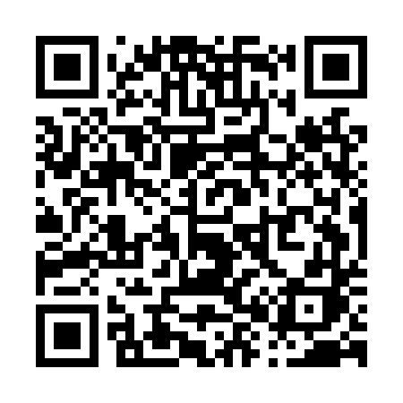 QR code for P85LTH