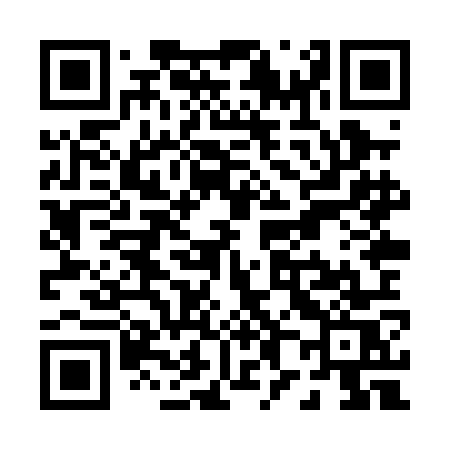 QR code for P88POS
