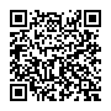QR code for P91EBA