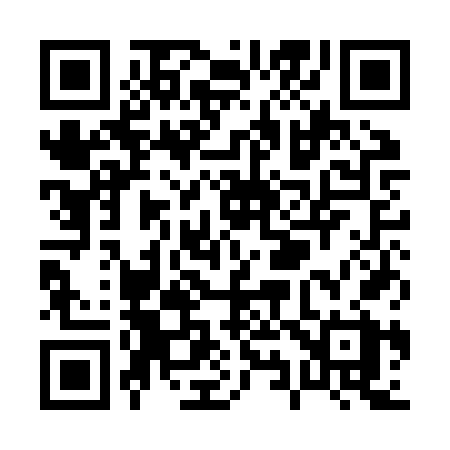 QR code for P91JVX