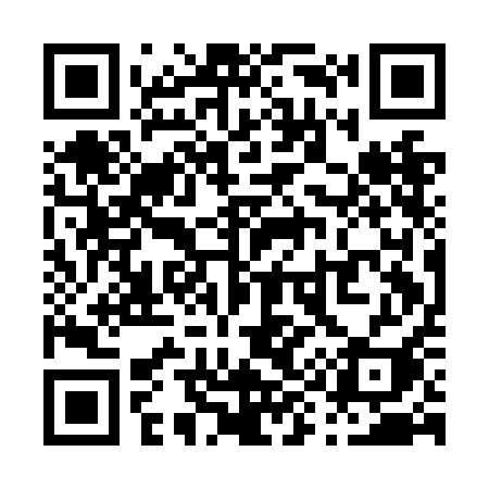 QR code for P91NAI
