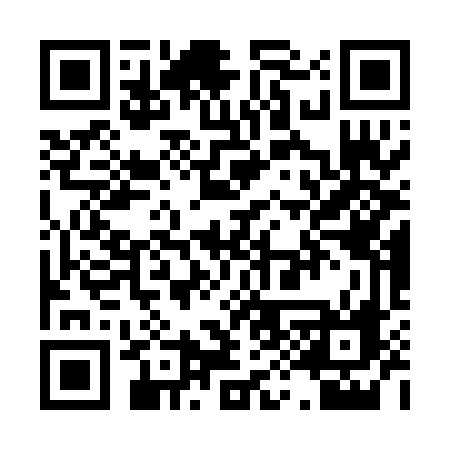 QR code for P91PDF