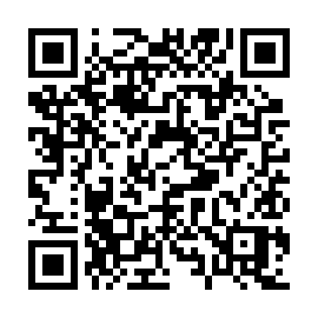 QR code for P91RYP