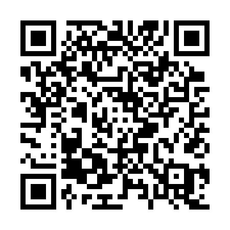 QR code for P91STA