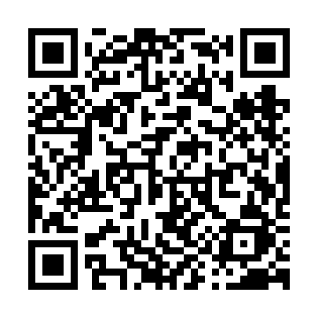 QR code for P91VBJ