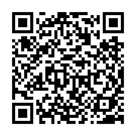 QR code for P91WII