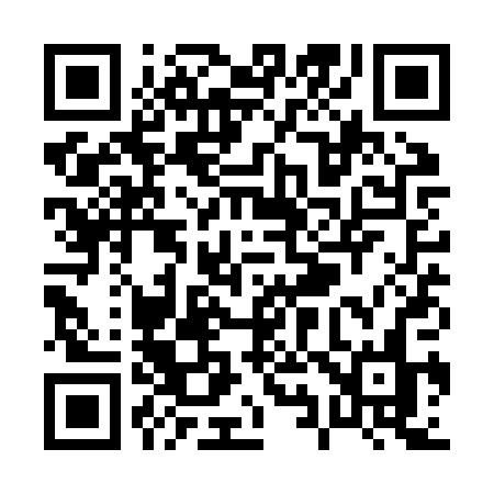 QR code for P91ZPN