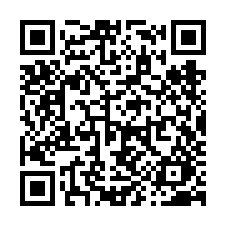 QR code for P93VJO