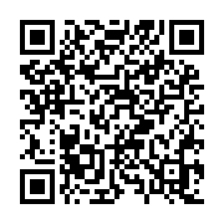 QR code for P94INJ
