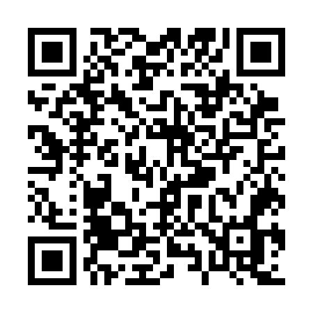 QR code for P95COO