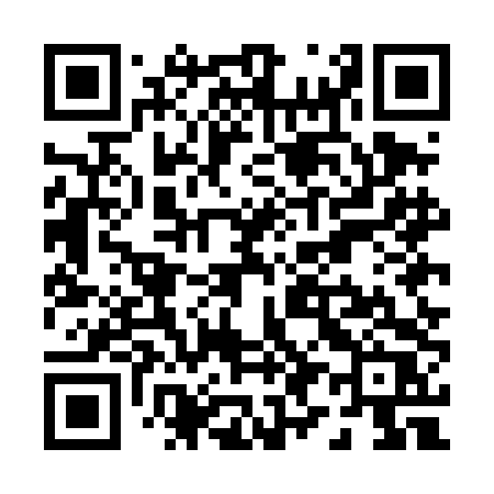 QR code for P95DDR