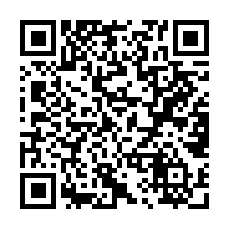 QR code for P95FKT