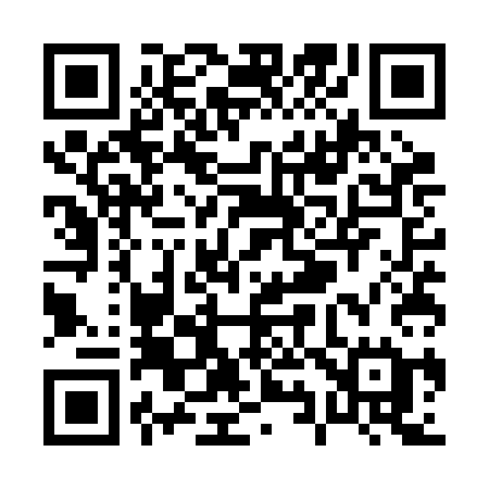 QR code for P95RCE