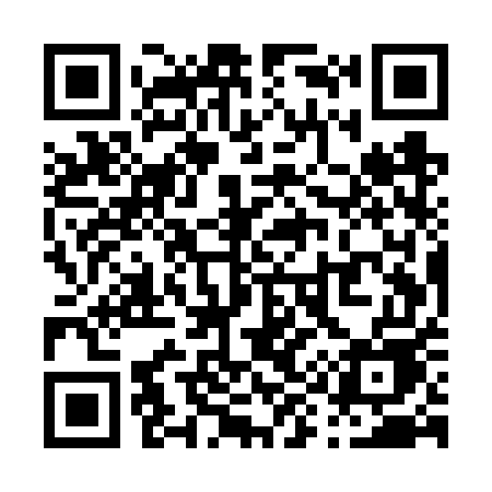 QR code for P95VUE