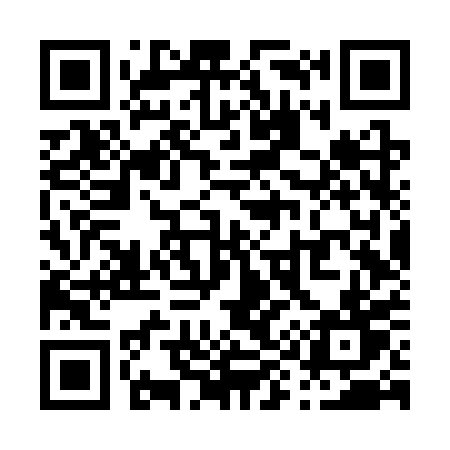 QR code for P96SPT