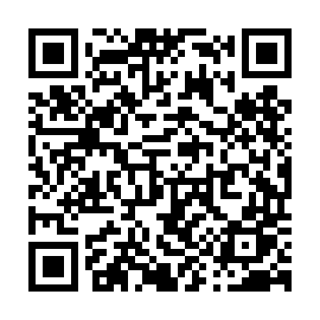 QR code for P98DDP