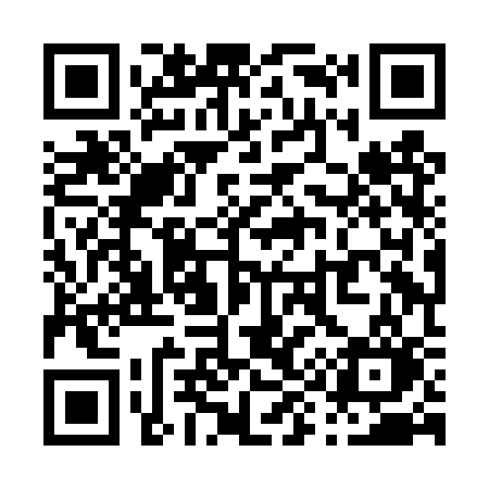 QR code for P98DSO