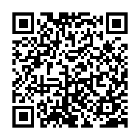 QR code for PAE91T