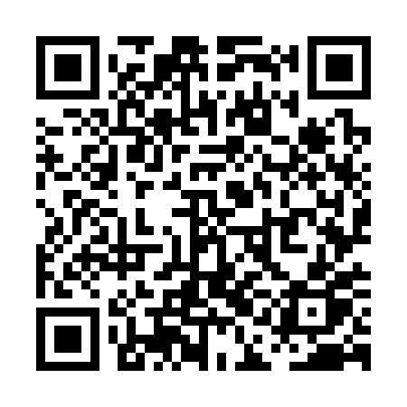 QR code for PAO30P