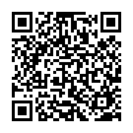 QR code for PDL41G