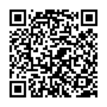 QR code for PFI41Z