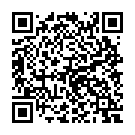 QR code for PIP31I