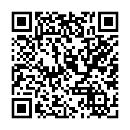 QR code for PJG98T