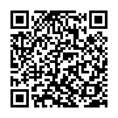 QR code for PJV07H