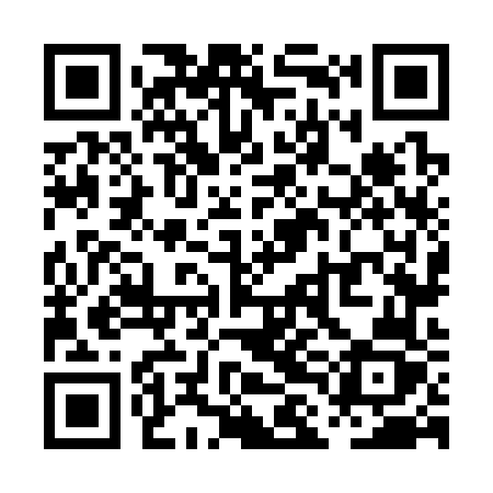 QR code for PLN36Z