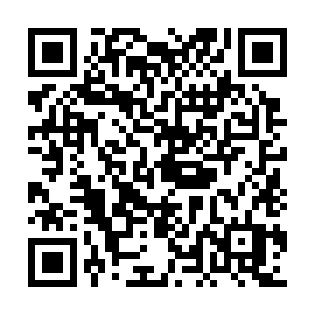 QR code for PLN38T